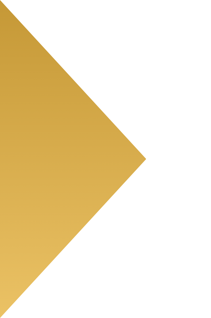 Solapa superior vertical